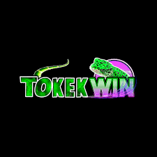 TOKEKWIN - Aplikasi Investasi Terpercaya untuk Masyarakat Indonesia